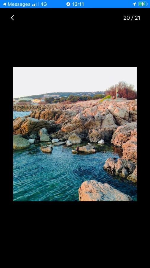 Grand Studio Bord De Mer Plus Piscine Sète Exteriör bild